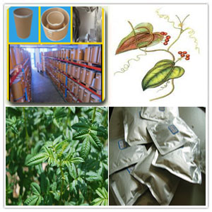 Zarzaparrilla extract Zarzaparrilla extract