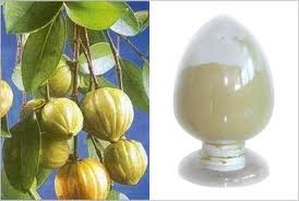 Garcinia cambogia (HCA)