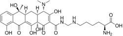 Lymecycline Lymecycline