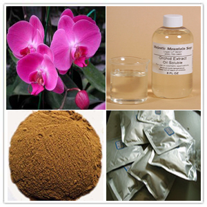 Orchid extract Orchid extract