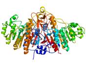 p-nitrophenyl phosptase p-nitrophenyl phosptase