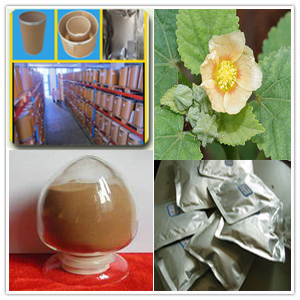 Sida cordifolia extract Sida cordifolia extract